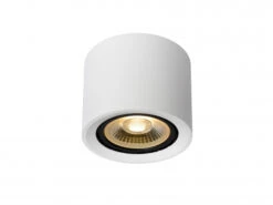 Ronde Plafondspot FEDLER - Wit Wit