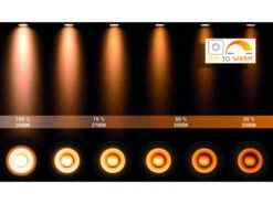 Plafondspot NIGEL 2x - Zwart Staal Rvs -Verlichtingswinkel Van Hoge Kwaliteit lucide nigel 40059