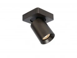 Plafondspot NIGEL 1x - Zwart Staal Rvs