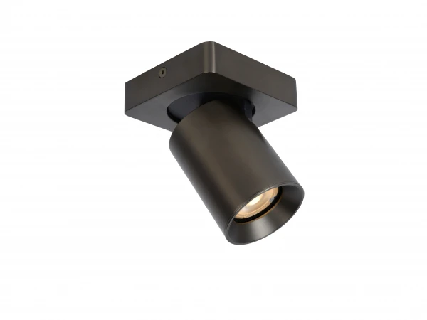 Plafondspot NIGEL 1x - Zwart Staal Rvs 1 Plafondspot NIGEL 1x - Zwart Staal Rvs