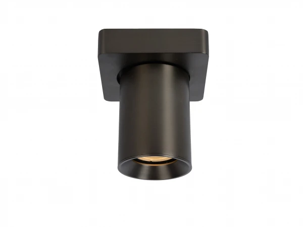 Plafondspot NIGEL 1x - Zwart Staal Rvs 3 Plafondspot NIGEL 1x - Zwart Staal Rvs - Afbeelding 3