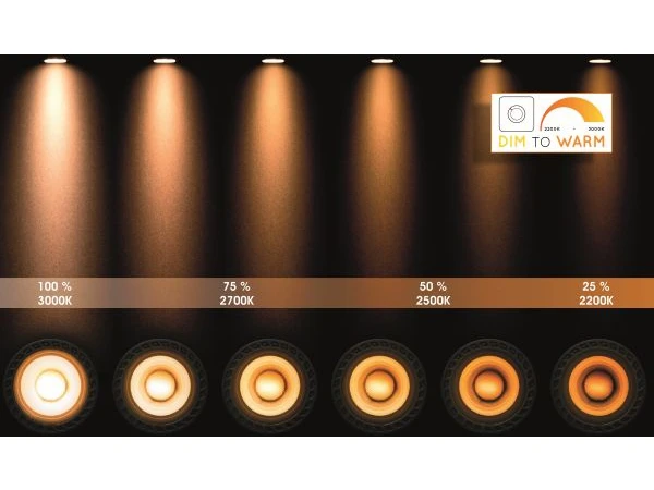 Plafondspot NIGEL 4x - Zwart Staal Rvs 6 Plafondspot NIGEL 4x - Zwart Staal Rvs - Afbeelding 6